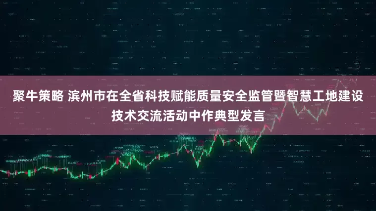 聚牛策略 滨州市在全省科技赋能质量安全监管暨智慧工地建设技术交流活动中作典型发言