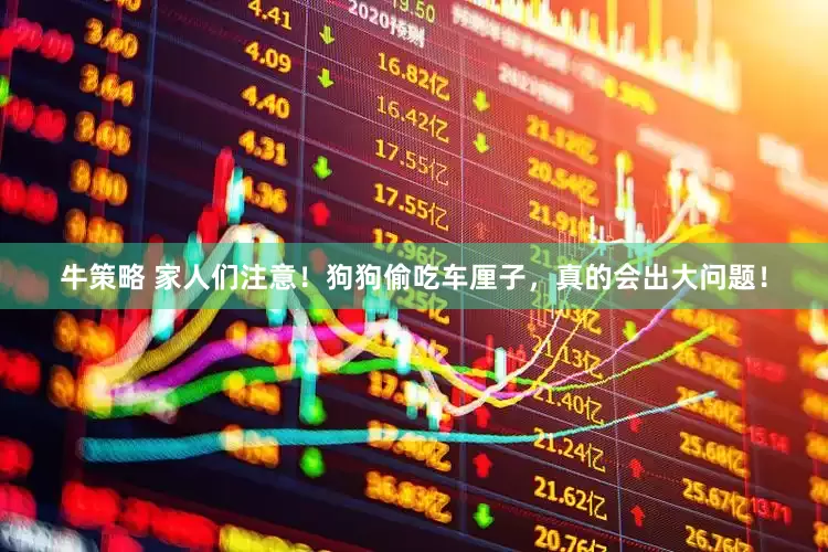 牛策略 家人们注意！狗狗偷吃车厘子，真的会出大问题！