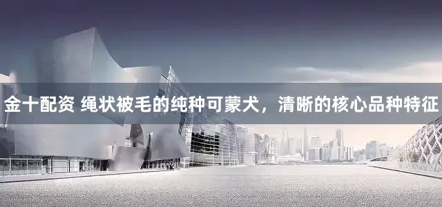 金十配资 绳状被毛的纯种可蒙犬，清晰的核心品种特征