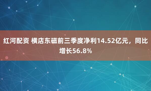 红河配资 横店东磁前三季度净利14.52亿元，同比增长56.8%