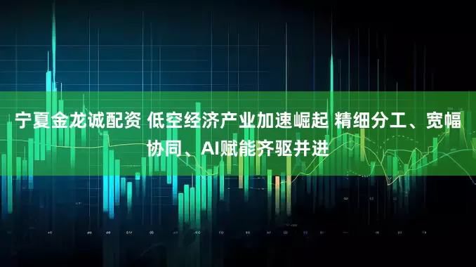 宁夏金龙诚配资 低空经济产业加速崛起 精细分工、宽幅协同、AI赋能齐驱并进