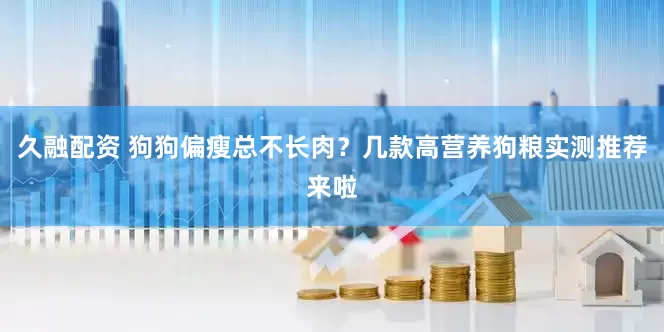 久融配资 狗狗偏瘦总不长肉？几款高营养狗粮实测推荐来啦