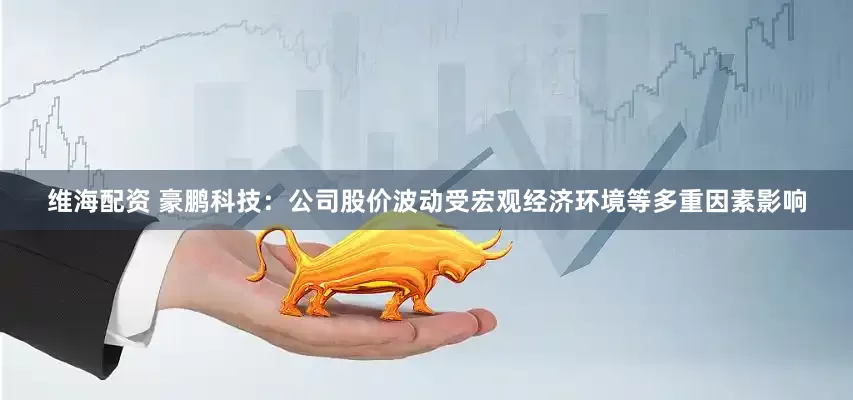 维海配资 豪鹏科技：公司股价波动受宏观经济环境等多重因素影响