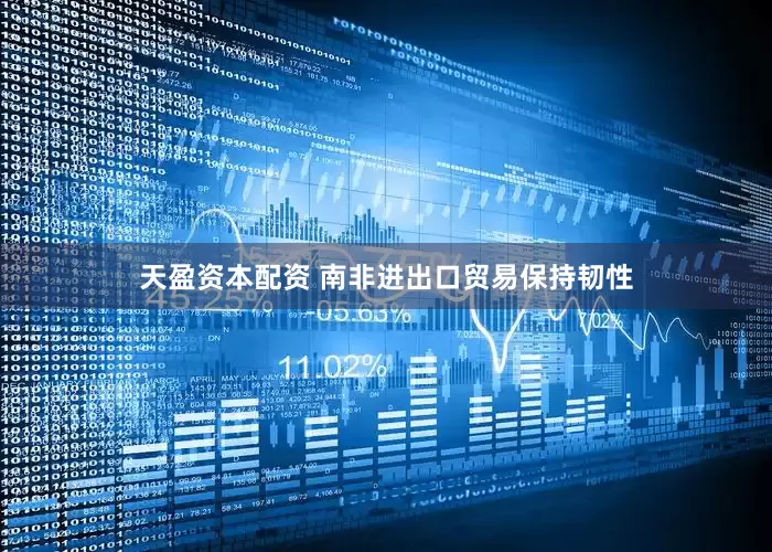 天盈资本配资 南非进出口贸易保持韧性