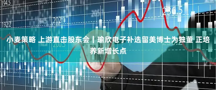 小麦策略 上游直击股东会｜瑜欣电子补选留美博士为独董 正培养新增长点