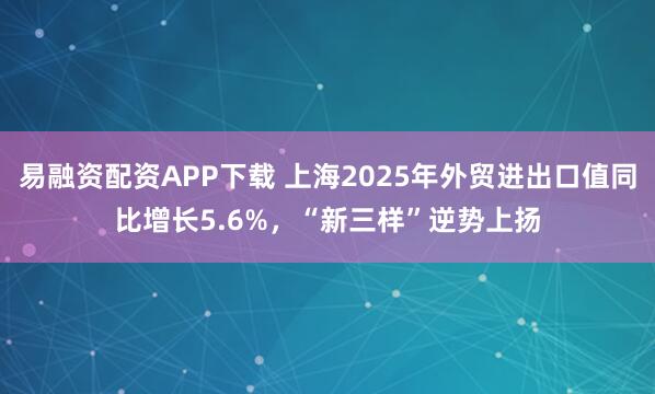 易融资配资APP下载 上海2025年外贸进出口值同比增长5.6%，“新三样”逆势上扬